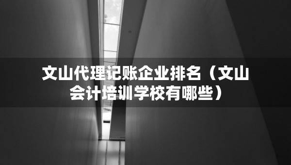 文山代理記賬企業(yè)排名（文山會(huì)計(jì)培訓(xùn)學(xué)校有哪些）