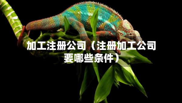 加工注冊(cè)公司（注冊(cè)加工公司要哪些條件）