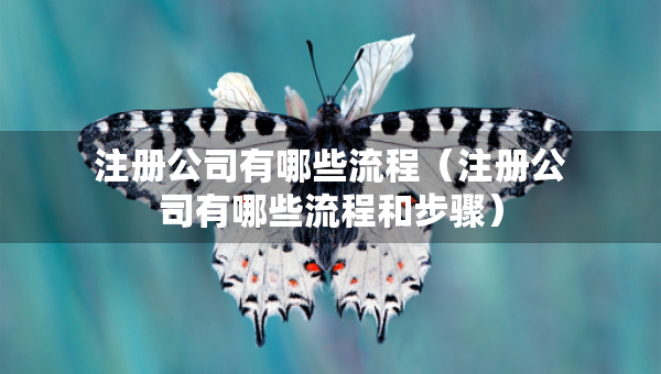 注冊(cè)公司有哪些流程（注冊(cè)公司有哪些流程和步驟）