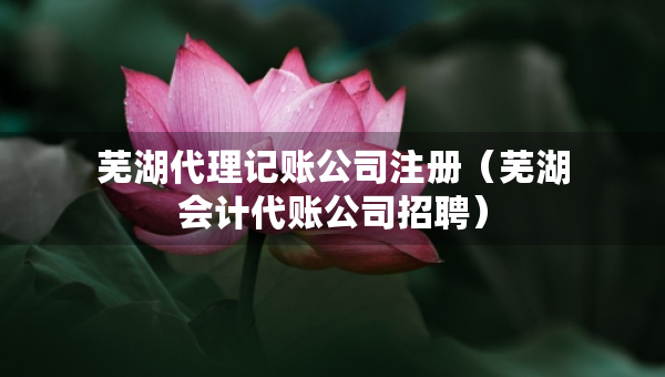 蕪湖代理記賬公司注冊（蕪湖會計代賬公司招聘）