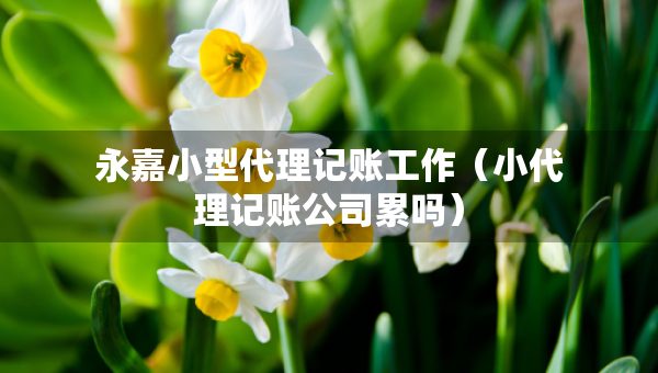 永嘉小型代理記賬工作（小代理記賬公司累嗎）