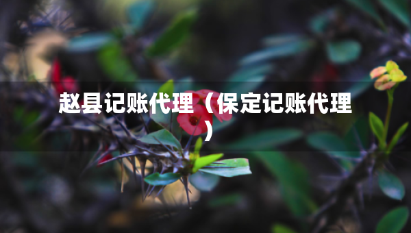 趙縣記賬代理（保定記賬代理）