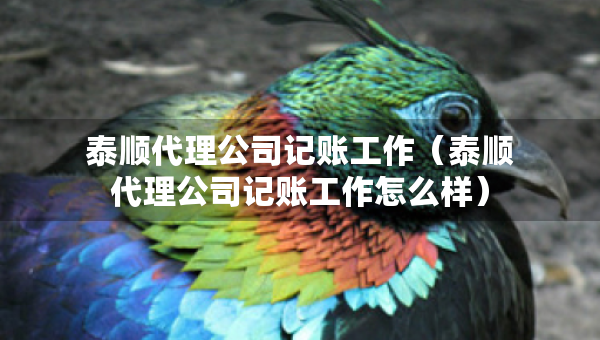 泰順代理公司記賬工作（泰順代理公司記賬工作怎么樣）