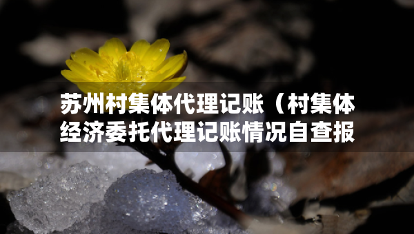 蘇州村集體代理記賬（村集體經(jīng)濟委托代理記賬情況自查報告）