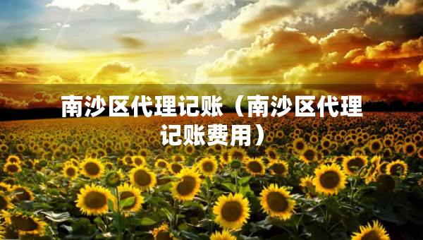 南沙區(qū)代理記賬（南沙區(qū)代理記賬費用）