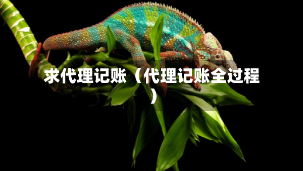 求代理記賬（代理記賬全過程）
