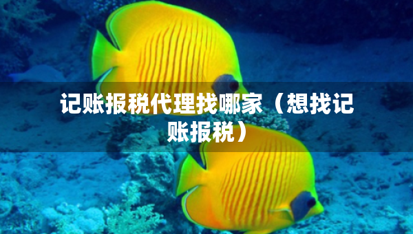 記賬報稅代理找哪家（想找記賬報稅）