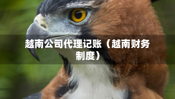 越南公司代理記賬（越南財(cái)務(wù)制度）