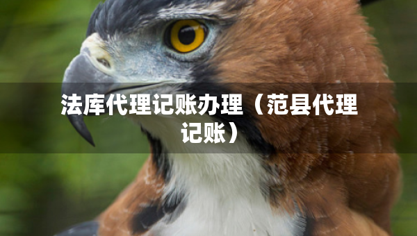 法庫(kù)代理記賬辦理（范縣代理記賬）