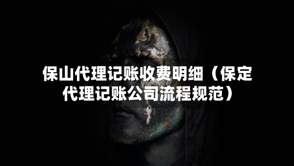 保山代理記賬收費(fèi)明細(xì)（保定代理記賬公司流程規(guī)范）