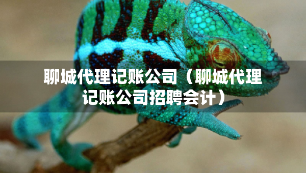 聊城代理記賬公司（聊城代理記賬公司招聘會(huì)計(jì)）