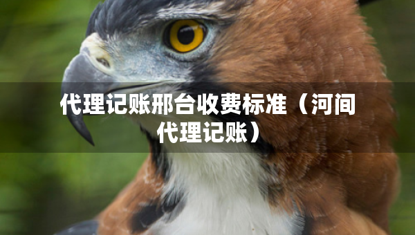 代理記賬邢臺收費標準（河間代理記賬）