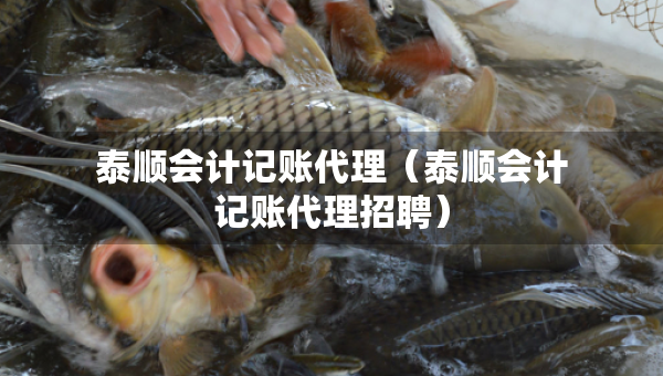 泰順會(huì)計(jì)記賬代理（泰順會(huì)計(jì)記賬代理招聘）