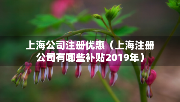 上海公司注冊(cè)優(yōu)惠（上海注冊(cè)公司有哪些補(bǔ)貼2019年）