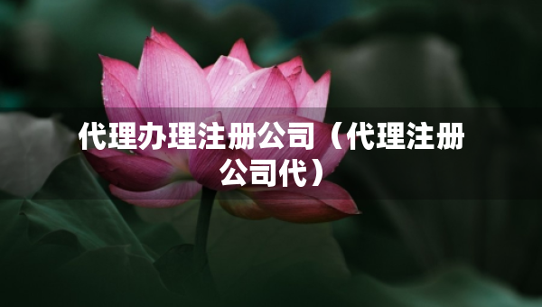 代理辦理注冊(cè)公司（代理注冊(cè)公司代）