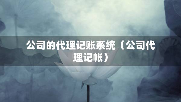 公司的代理記賬系統(tǒng)（公司代理記帳）