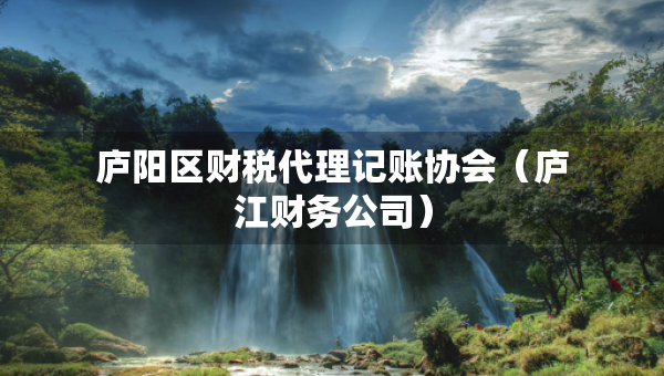 廬陽區(qū)財稅代理記賬協(xié)會（廬江財務公司）