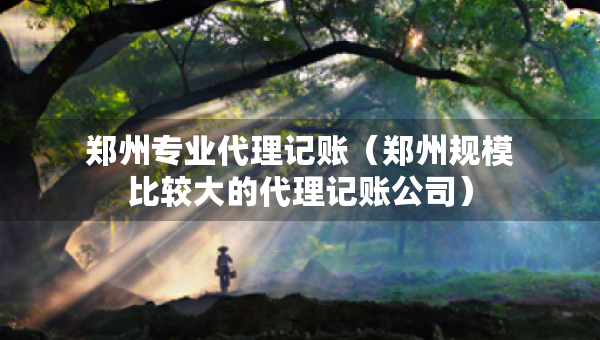 鄭州專業(yè)代理記賬（鄭州規(guī)模比較大的代理記賬公司）