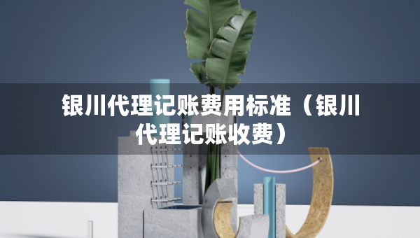 銀川代理記賬費(fèi)用標(biāo)準(zhǔn)（銀川代理記賬收費(fèi)）