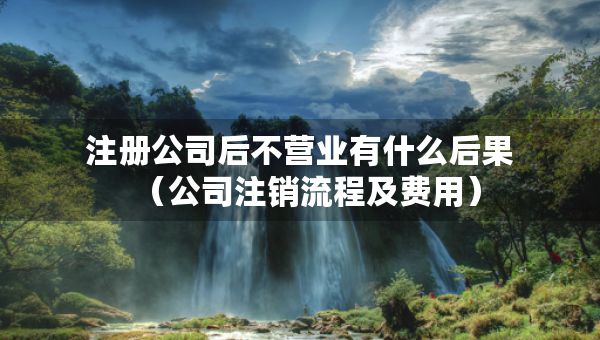 注冊公司后不營業(yè)有什么后果（公司注銷流程及費用）