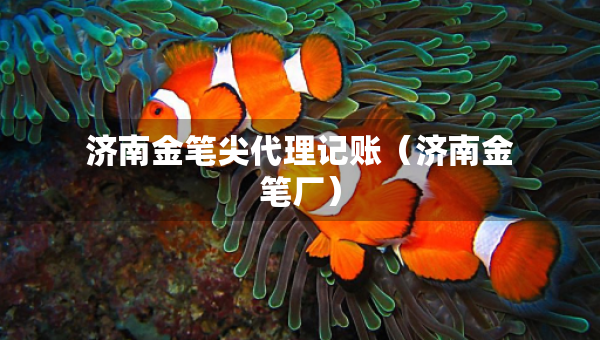 濟(jì)南金筆尖代理記賬（濟(jì)南金筆廠）