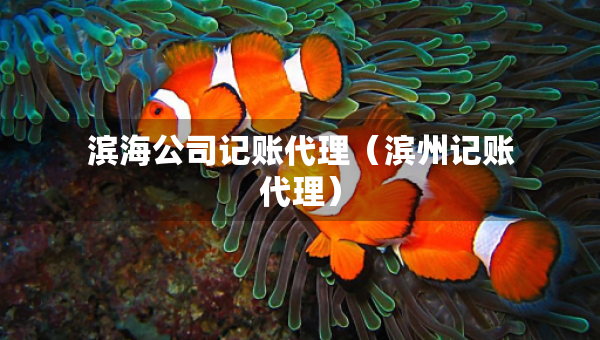 濱海公司記賬代理（濱州記賬代理）