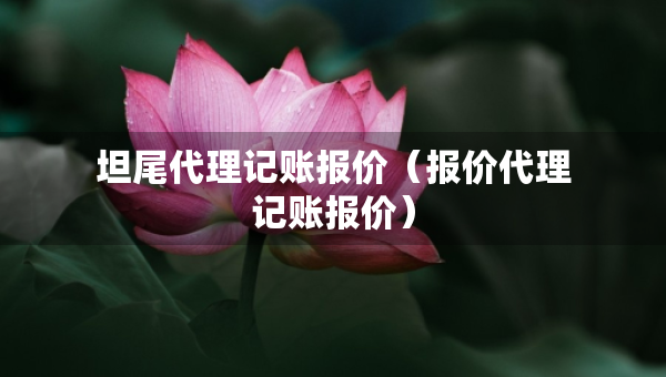 坦尾代理記賬報(bào)價(jià)（報(bào)價(jià)代理記賬報(bào)價(jià)）