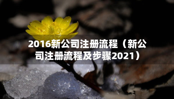 2016新公司注冊(cè)流程（新公司注冊(cè)流程及步驟2021）