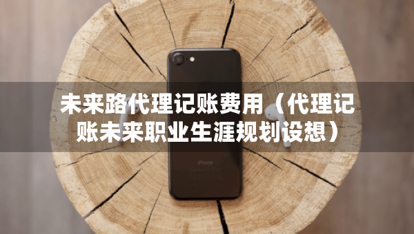 未來(lái)路代理記賬費(fèi)用（代理記賬未來(lái)職業(yè)生涯規(guī)劃設(shè)想）