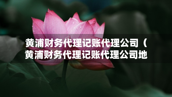 黃浦財務(wù)代理記賬代理公司（黃浦財務(wù)代理記賬代理公司地址）
