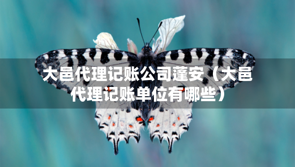 大邑代理記賬公司蓬安（大邑代理記賬單位有哪些）