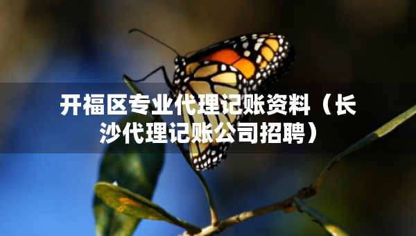 開福區(qū)專業(yè)代理記賬資料（長沙代理記賬公司招聘）