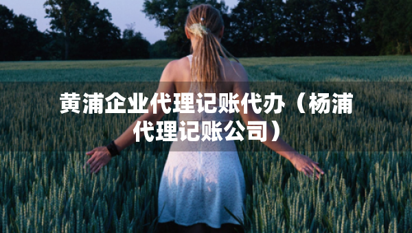 黃浦企業(yè)代理記賬代辦（楊浦代理記賬公司）