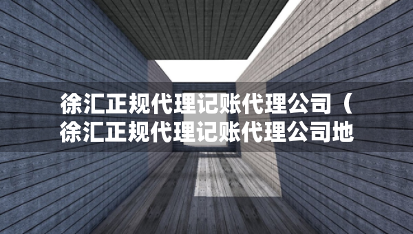 徐匯正規(guī)代理記賬代理公司（徐匯正規(guī)代理記賬代理公司地址）