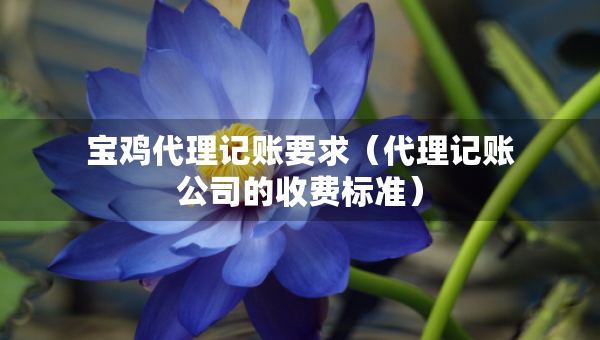 寶雞代理記賬要求（代理記賬公司的收費(fèi)標(biāo)準(zhǔn)）