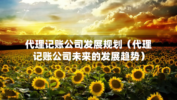 代理記賬公司發(fā)展規(guī)劃（代理記賬公司未來的發(fā)展趨勢）