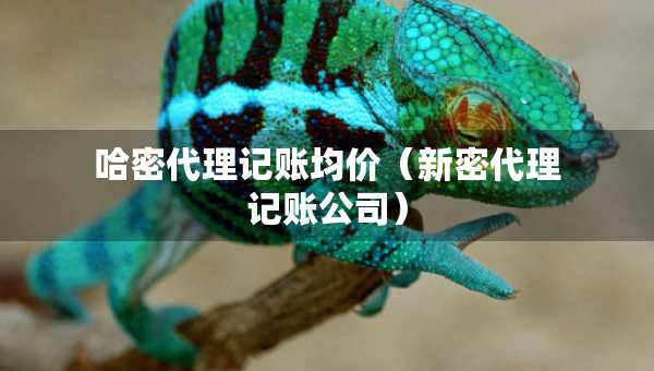 哈密代理記賬均價（新密代理記賬公司）