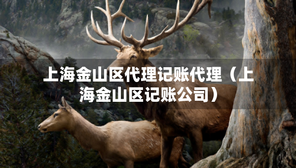 上海金山區(qū)代理記賬代理（上海金山區(qū)記賬公司）