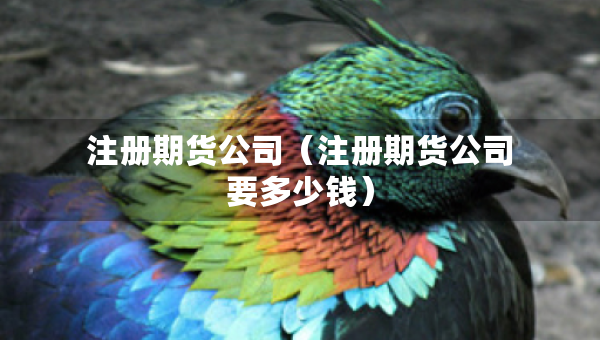 注冊(cè)期貨公司（注冊(cè)期貨公司要多少錢）