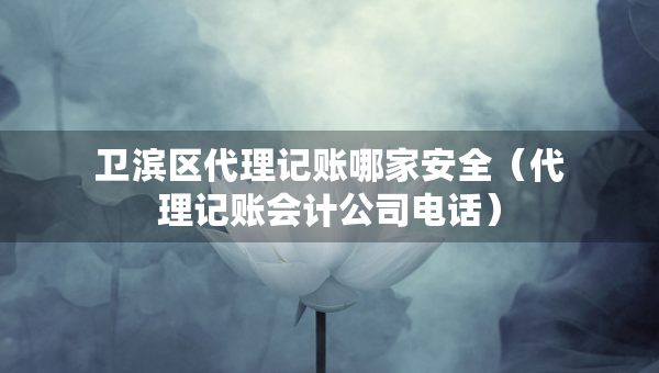 衛(wèi)濱區(qū)代理記賬哪家安全（代理記賬會計公司電話）