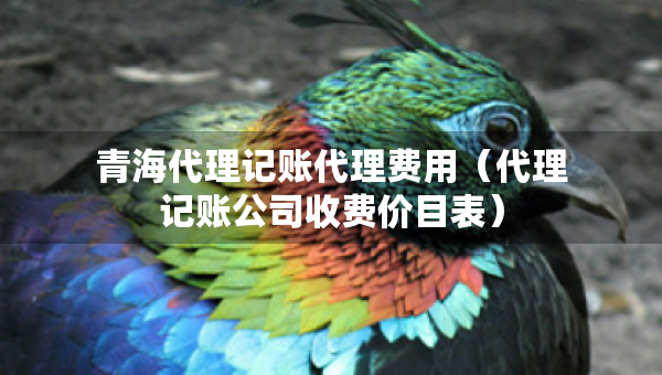 青海代理記賬代理費用（代理記賬公司收費價目表）