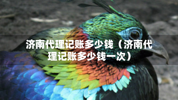 濟(jì)南代理記賬多少錢（濟(jì)南代理記賬多少錢一次）