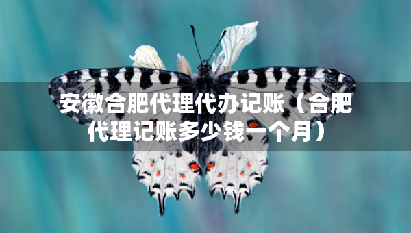 安徽合肥代理代辦記賬（合肥代理記賬多少錢一個(gè)月）