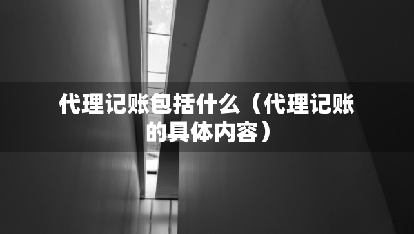 代理記賬包括什么（代理記賬的具體內(nèi)容）