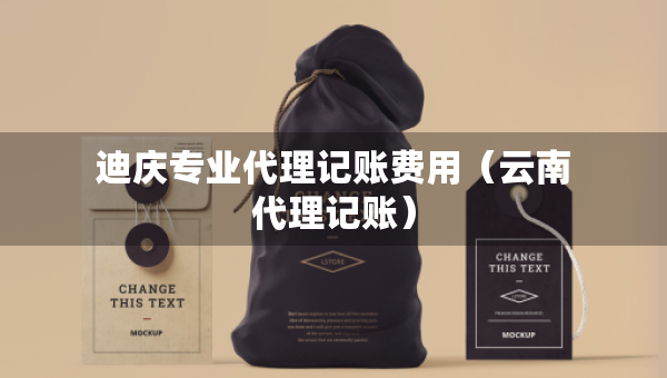 迪慶專業(yè)代理記賬費(fèi)用（云南代理記賬）