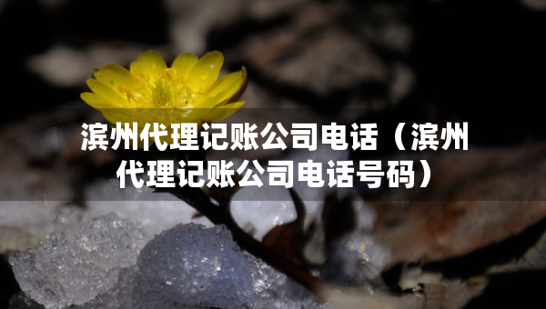 濱州代理記賬公司電話（濱州代理記賬公司電話號碼）