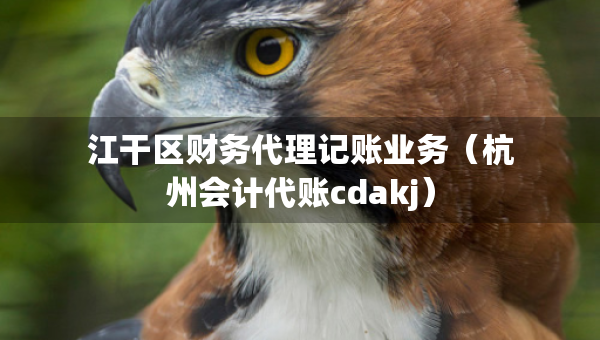 江干區(qū)財(cái)務(wù)代理記賬業(yè)務(wù)（杭州會計(jì)代賬cdakj）