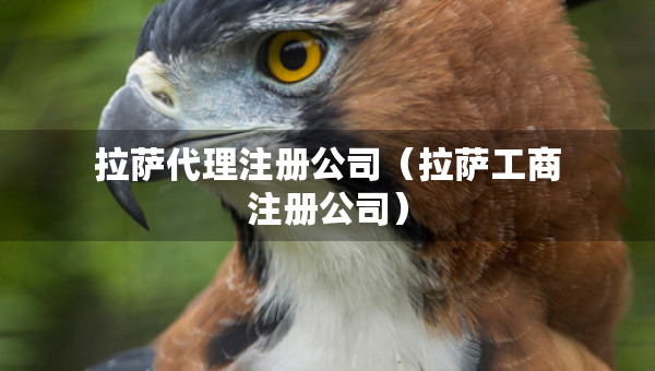 拉薩代理注冊(cè)公司（拉薩工商注冊(cè)公司）