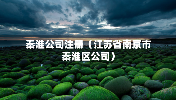 秦淮公司注冊（江蘇省南京市秦淮區(qū)公司）