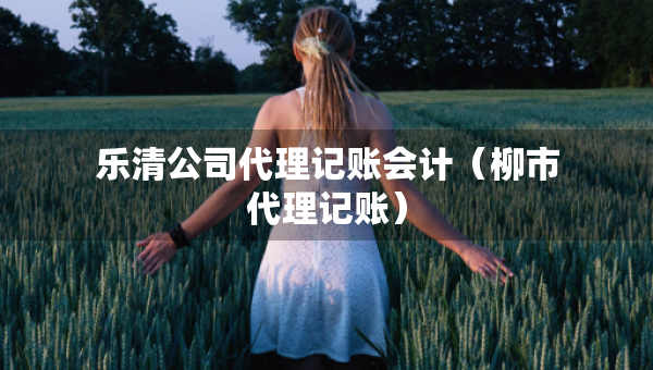 樂清公司代理記賬會計（柳市代理記賬）